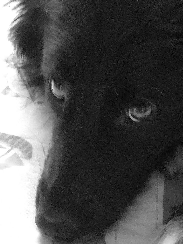 Lucy